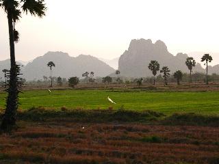 Landscape from train