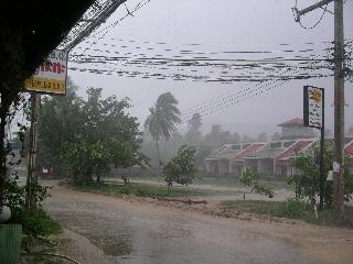 Rain on Samui