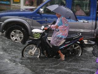 Chaweng river (Samui)