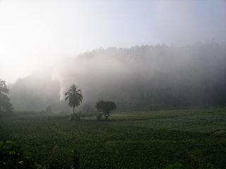 Misty Mae Hong Son area