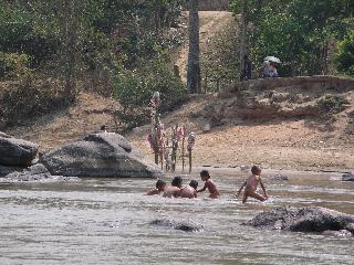 River life