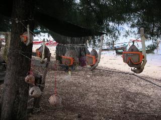 05 Snorkelling coconuts