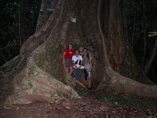 45 Big tree with Lek