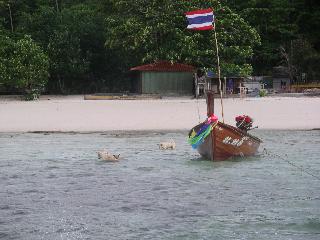 07 Dogs & boat Coral island