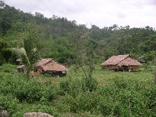 36 Bamboo huts