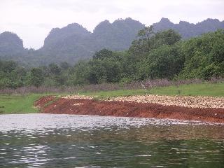 42 Flooded death railway